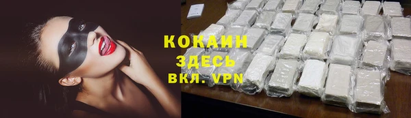 гашик Алзамай
