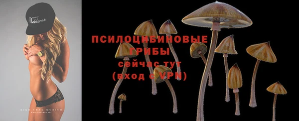 индика Пересвет
