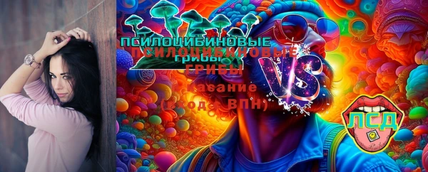 гашик Алзамай