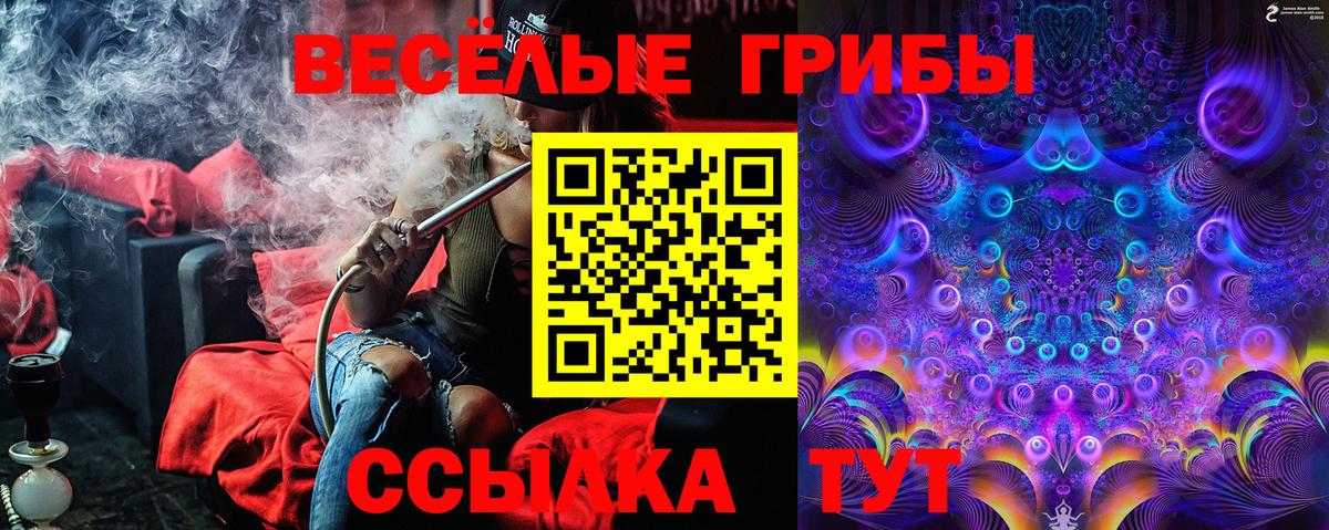 Белебей  Галлюциногенные грибы Psilocybine cubensis  Вход с VPN 