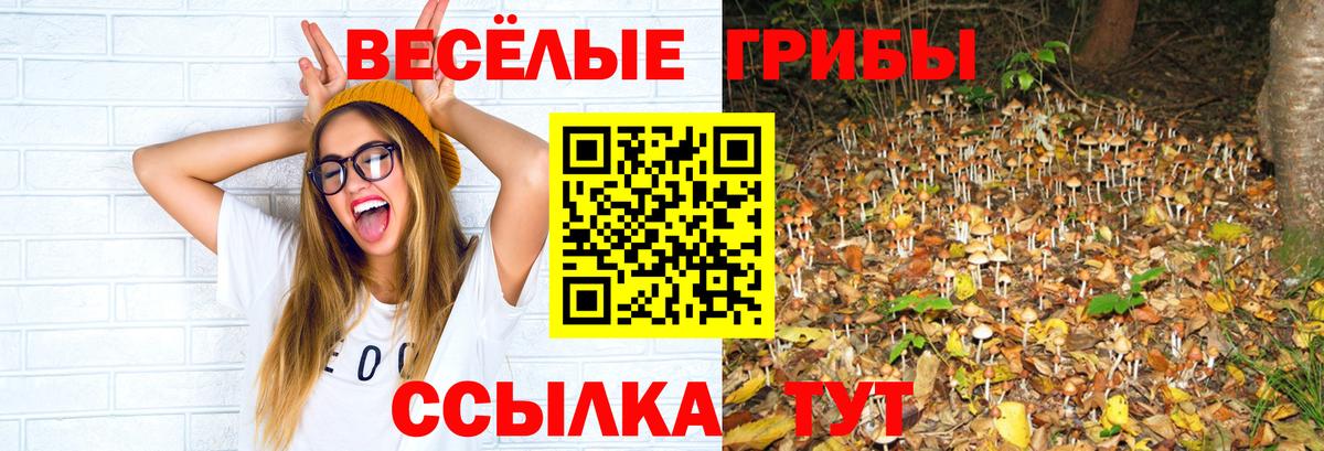 Псилоцибиновые грибы ЛСД Белебей